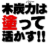 木炭パワーは塗って活かす！