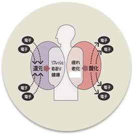 酸化と還元の仕組み