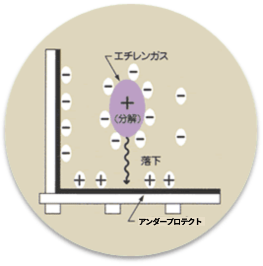 エチレンガスを吸着する様子